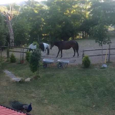 Ca Ranchi Kır Evi *